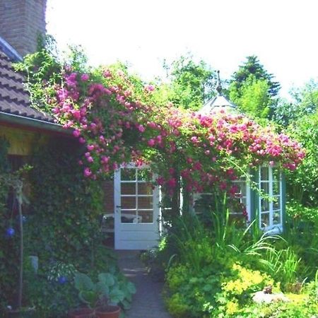 Ferienwohnung Diena - Unterkunft Mit Toller Ausstattung Und Zwei Terrassen Tarp Exterior foto